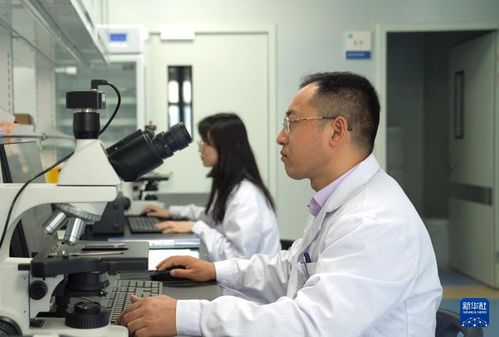 新華全媒 我國科研團隊首次構建泛癌種脈管系統全息細胞圖譜