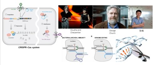 產業風口下的生物藥開發與技術熱點——百奧賽圖大會協辦聚焦醫學研究與試驗發展