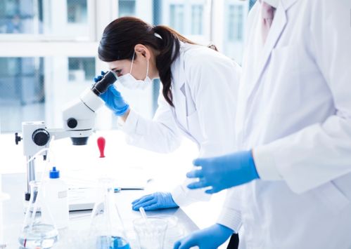 新冠累計確診病例超6萬例 醫學研究與試驗發展中的解藥研究進展